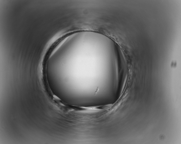 X0000102510246200808221824