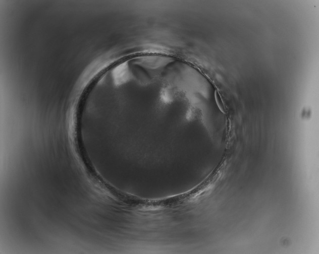 X0000102510247200808221824