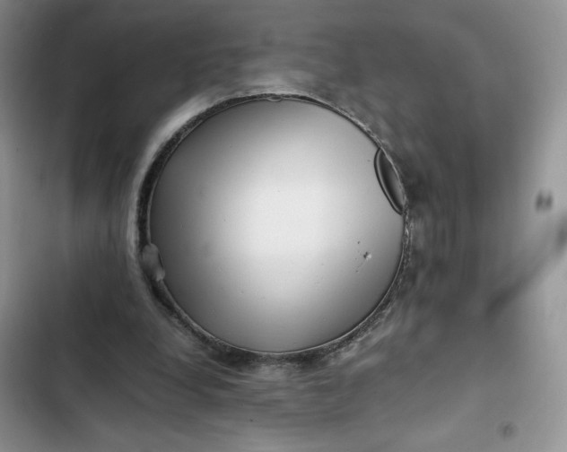 X0000102510248200808221824