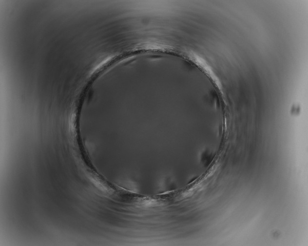 X0000102510249200808221824