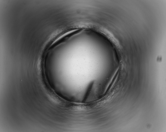 X0000102510250200808221824
