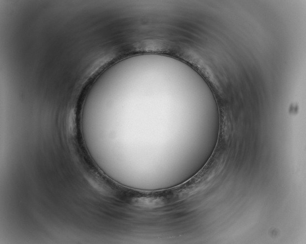 X0000102510251200808221824