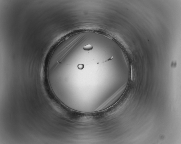 X0000102510252200808221824