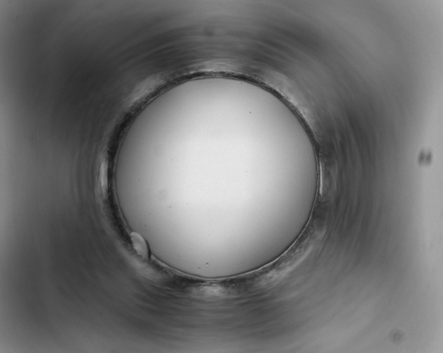X0000102510253200808221824