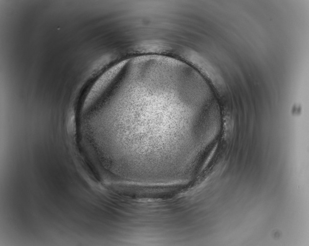 X0000102510254200808221824