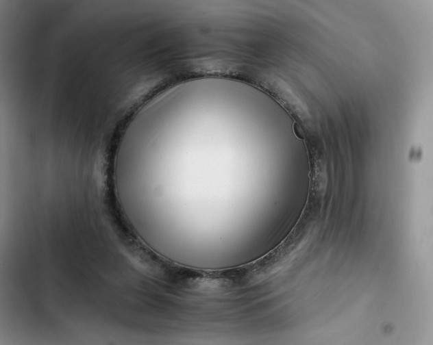 X0000102510255200808221824