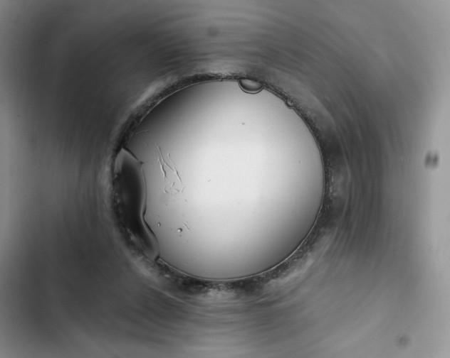 X0000102510256200808221824