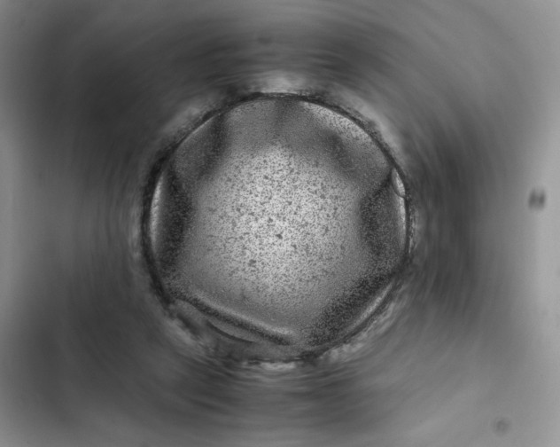 X0000102510257200808221824