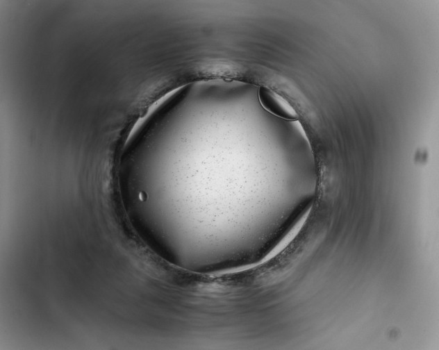 X0000102510259200808221824
