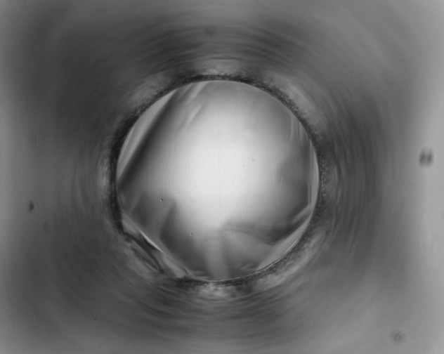 X0000102510261200808221824