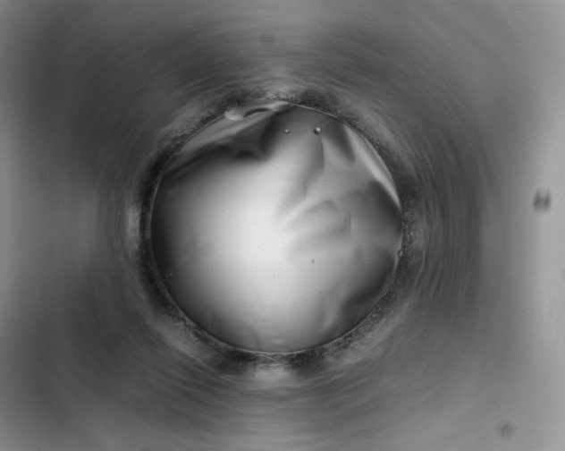 X0000102510262200808221824