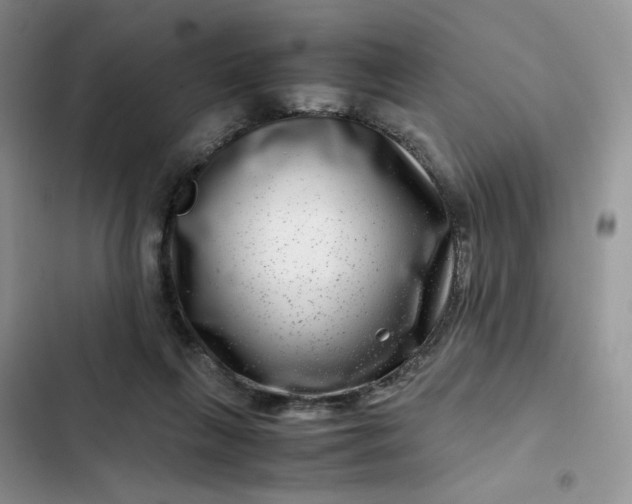 X0000102510263200808221824