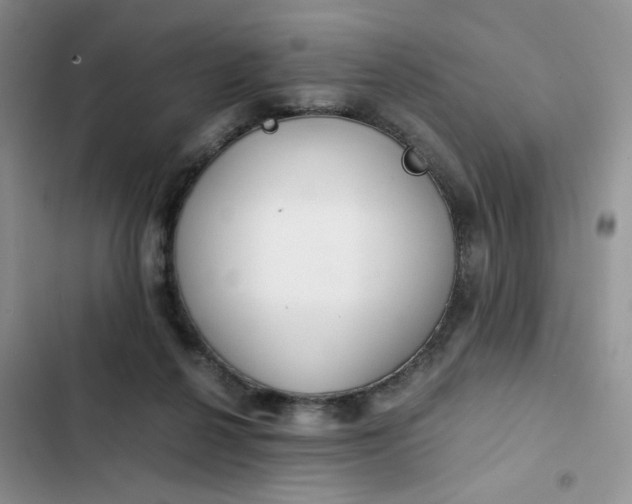 X0000102510264200808221824