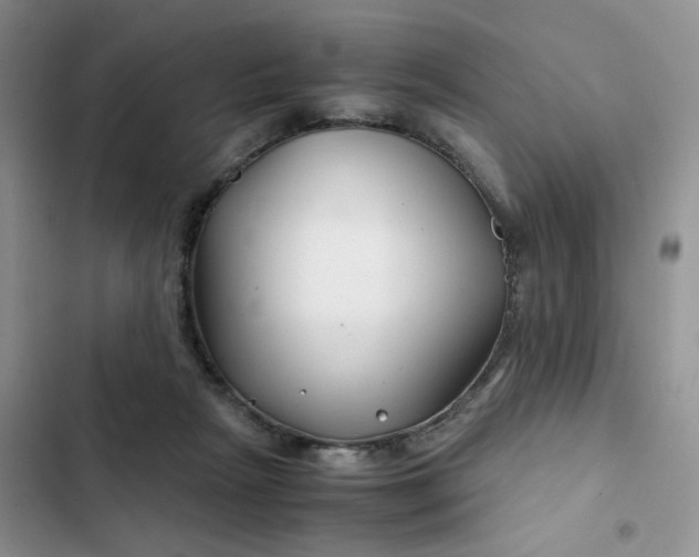 X0000102510265200808221824