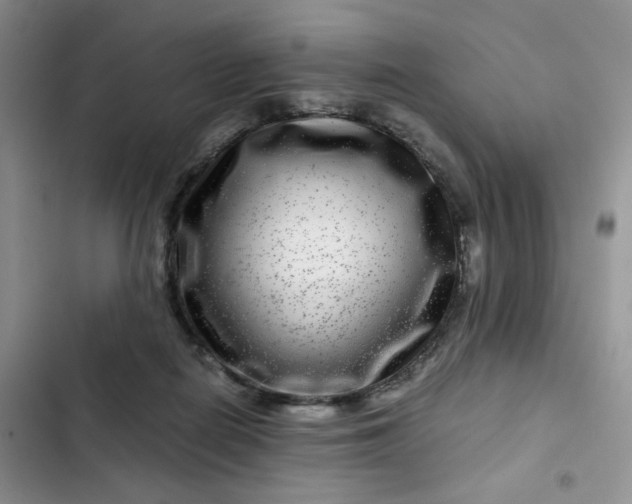 X0000102510266200808221824