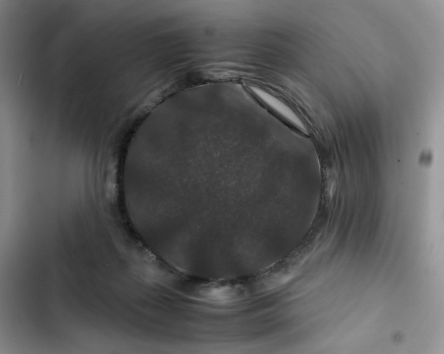 X0000102510267200808221824