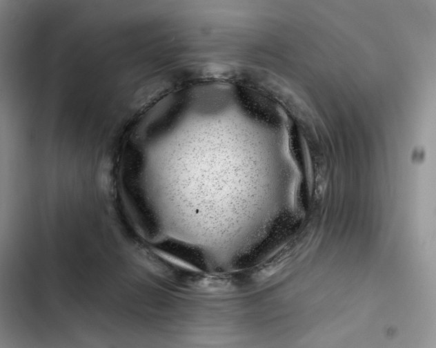 X0000102510270200808221824