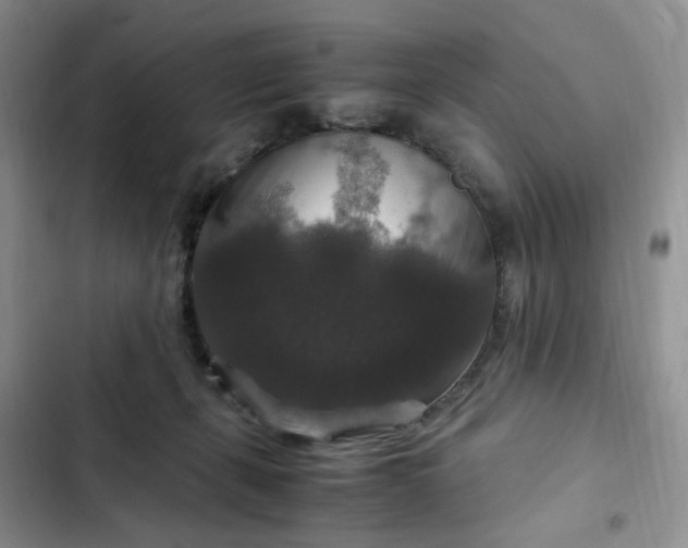 X0000102510271200808221824