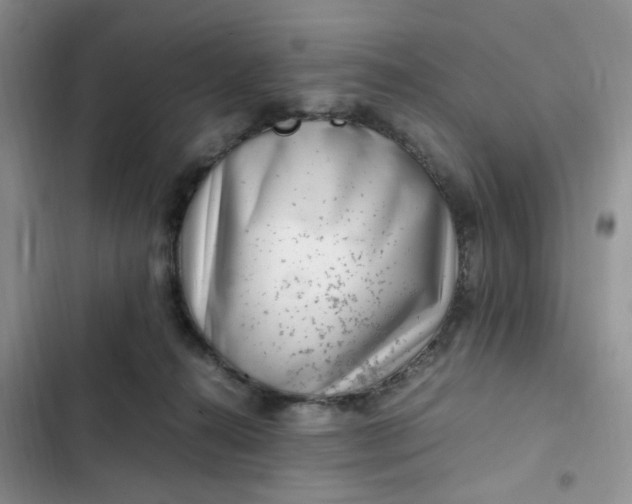 X0000102510272200808221824
