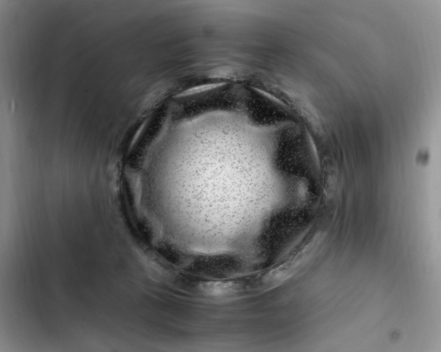 X0000102510273200808221824