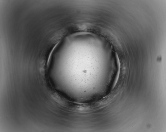 X0000102510275200808221824