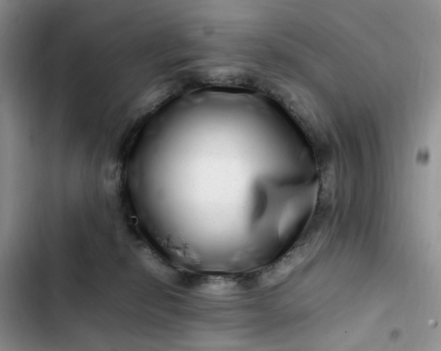 X0000102510278200808221824