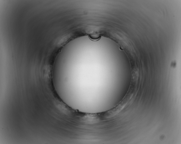 X0000102510280200808221825