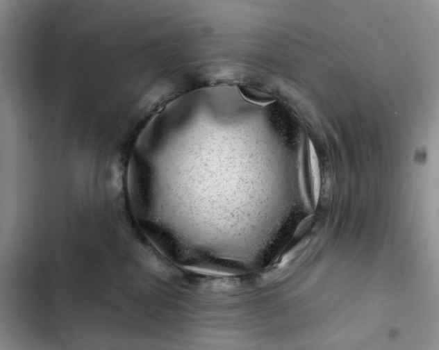 X0000102510282200808221825