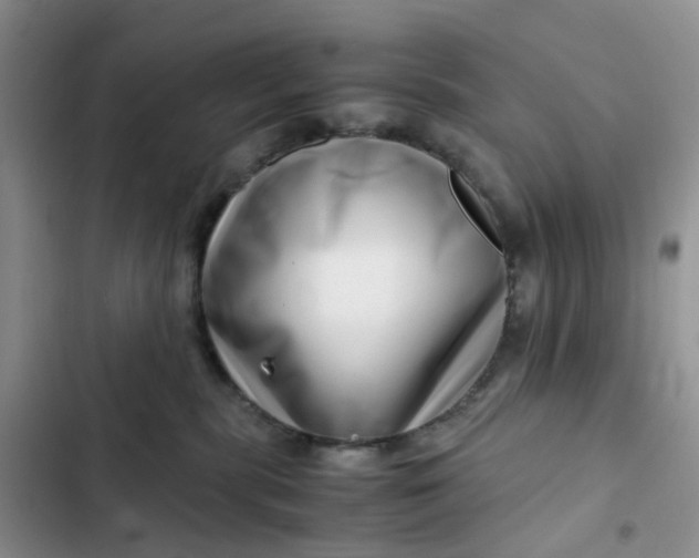 X0000102510283200808221825