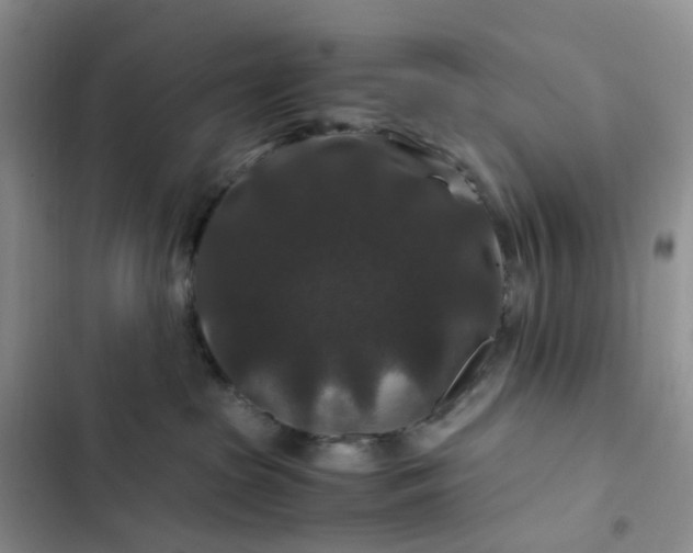 X0000102510285200808221825