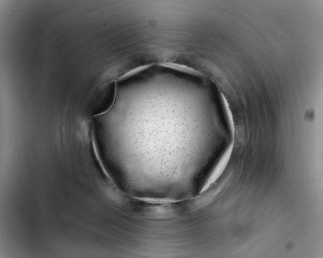X0000102510286200808221825