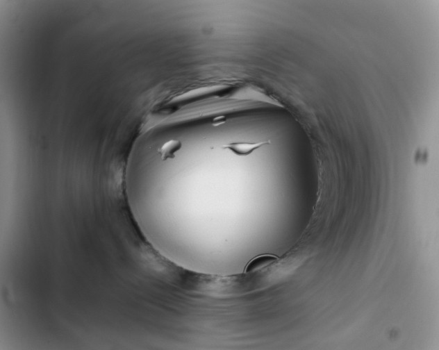 X0000102510288200808221825