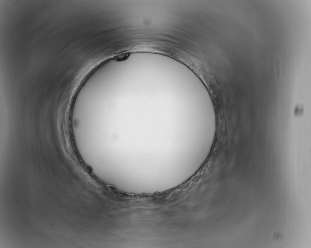 X0000102510289200808221824