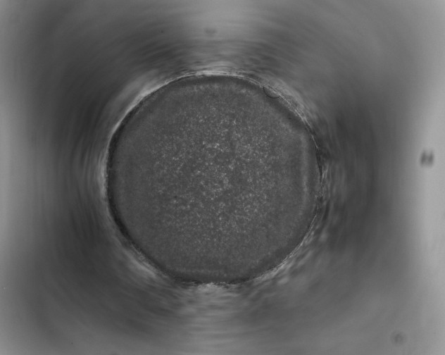 X0000102510290200808221824