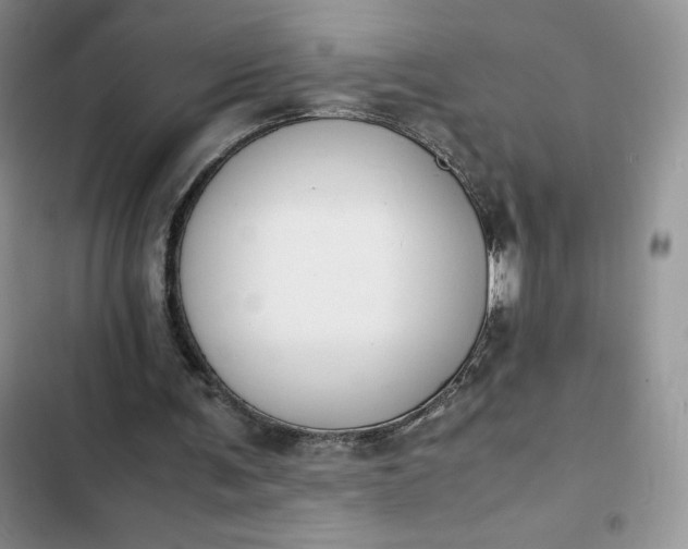 X0000102510291200808221824
