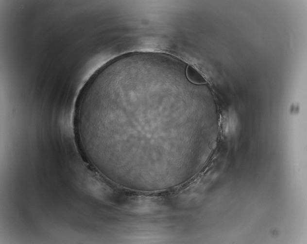 X0000102510292200808221824