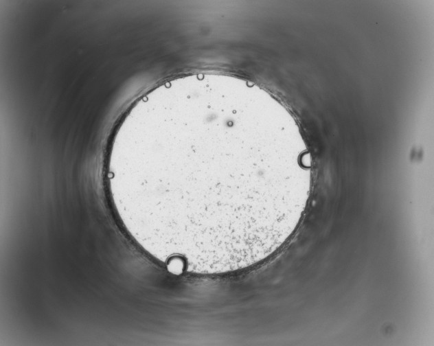 X0000102510293200808221824