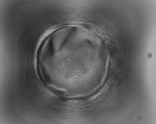 X0000102510294200808221824