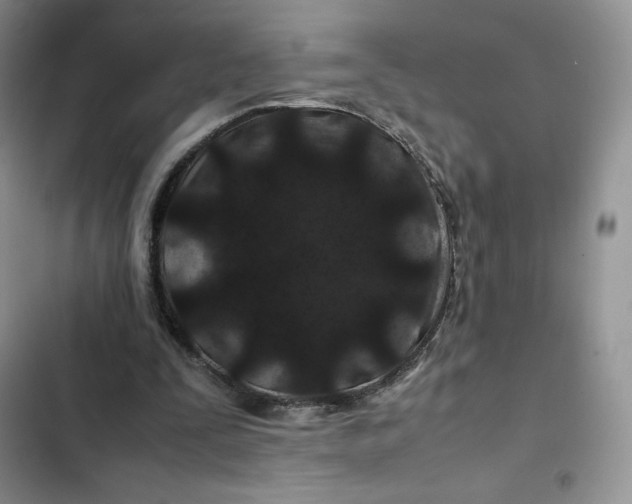 X0000102510295200808221824
