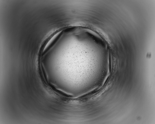 X0000102510298200808221824