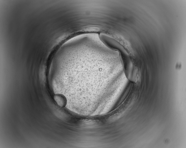 X0000102510300200808221824