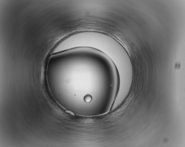 X0000102510301200808221824