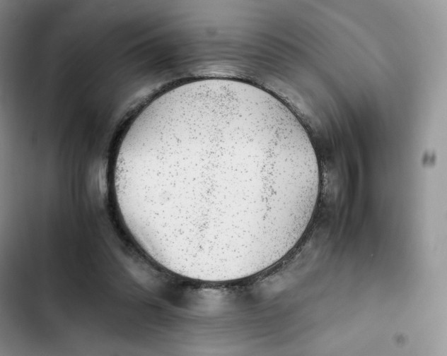 X0000102510302200808221824