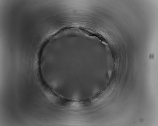X0000102510303200808221824