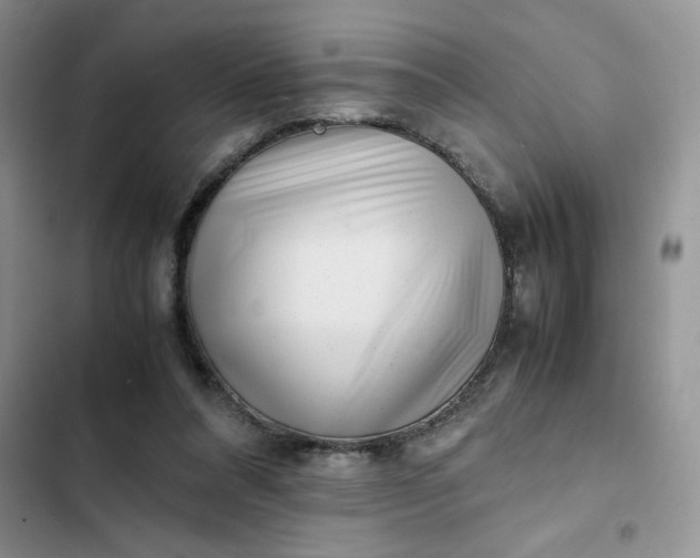 X0000102510304200808221824