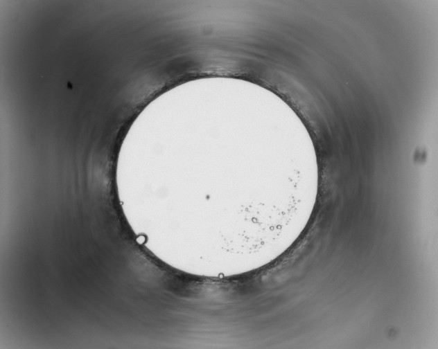 X0000102510305200808221824