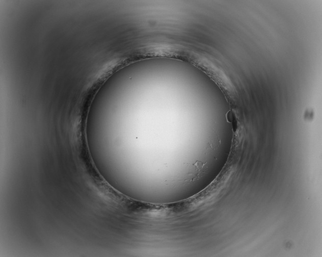 X0000102510306200808221823