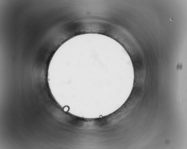 X0000102510309200808221823