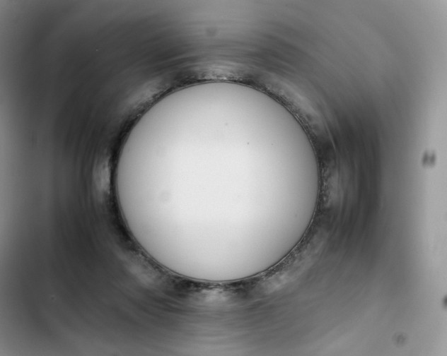 X0000102510310200808221823