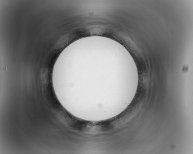 X0000102510311200808221823